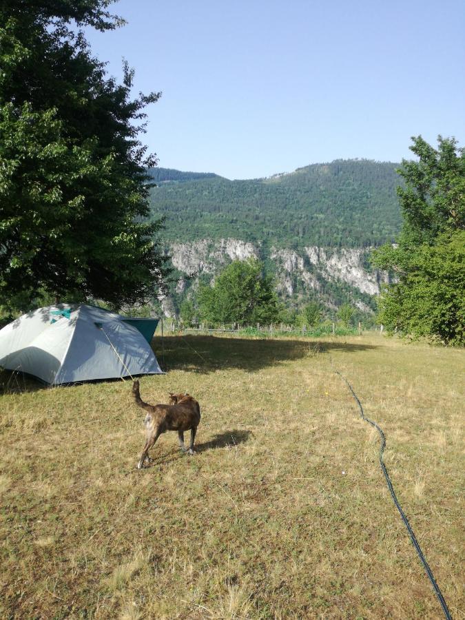 Rafting Camp Apartments Montenegro Goran Lekovic Žabljak Exteriér fotografie