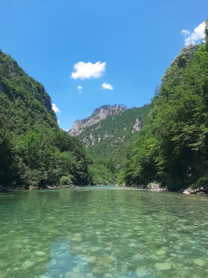 Rafting Camp Apartments Montenegro Goran Lekovic Žabljak Exteriér fotografie